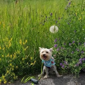 Meet your Posher, Natasha